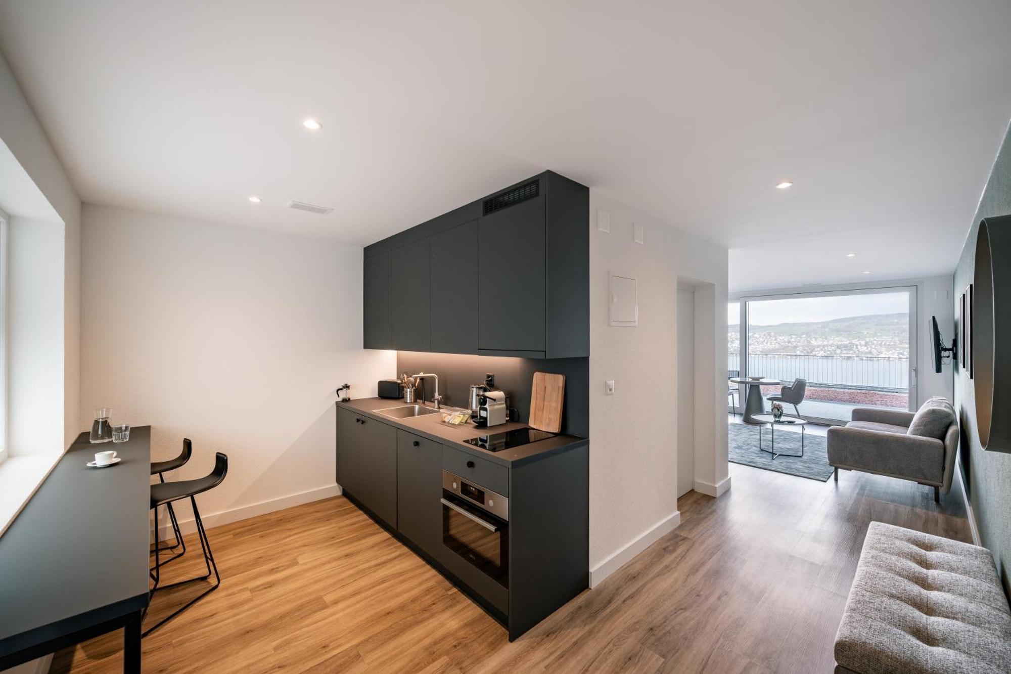 Aestate Living Lakeview In Horgen Zuerich Zug Pfaeffikon Екстериор снимка